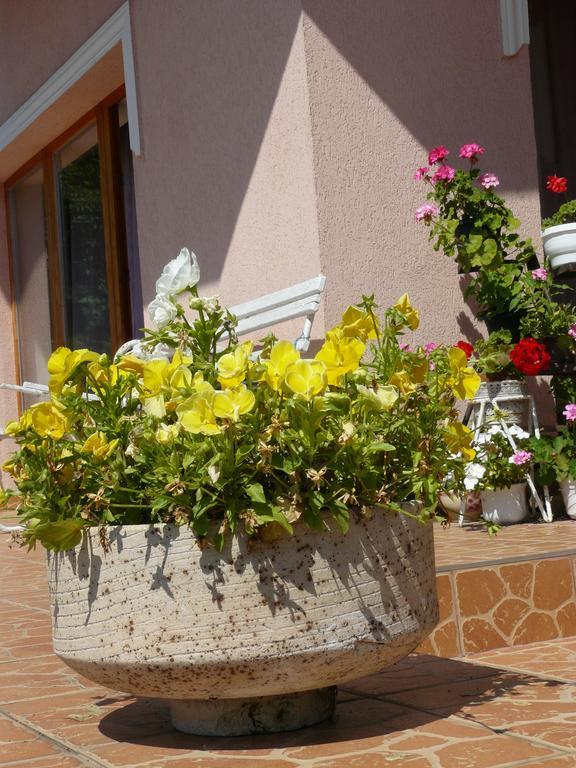 Hejo Apartman Miskolc Esterno foto
