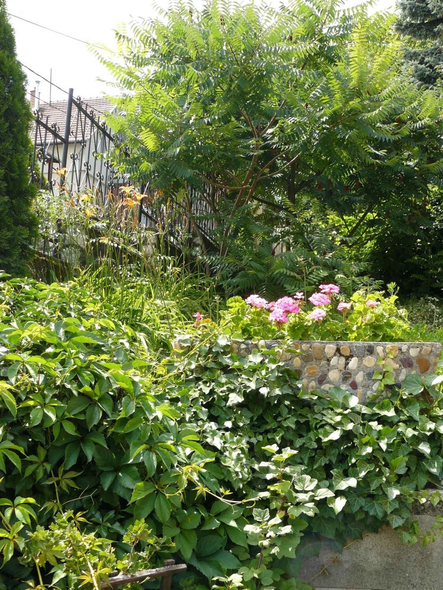 Hejo Apartman Miskolc Esterno foto